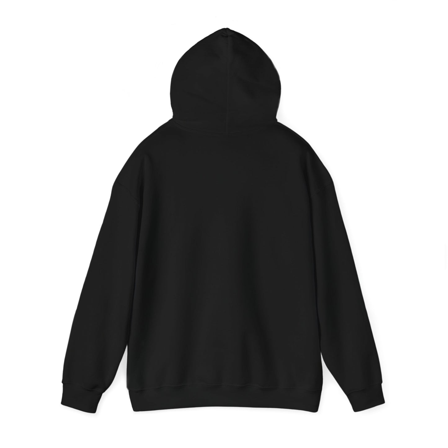 Integra hub Hooded Sweatshirt